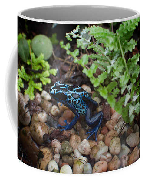 Animals Coffee Mug featuring the digital art Poison Dart Frog by Carol Ailles