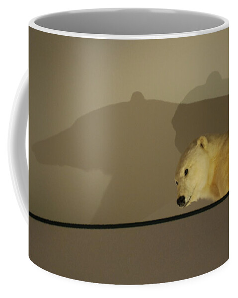 Natural History Coffee Mug featuring the photograph Polar Bear Shadows by Kenny Glover