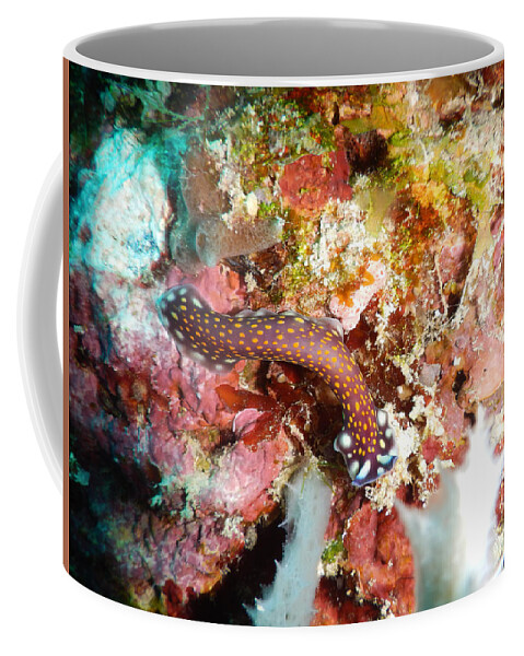 Animal Coffee Mug featuring the photograph Polyclad Flatworm by Carleton Ray
