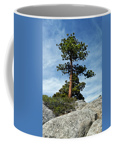 Beauty In Nature Coffee Mug featuring the photograph Ponderosa Pine and Granite Boulders by Jeff Goulden