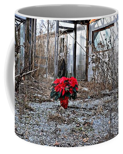 Poinsettia Coffee Mug featuring the photograph Ponsettias in Abandon Greenhouse by Randy J Heath