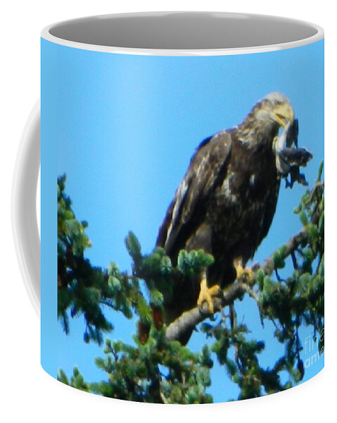 Oregon Coffee Mug featuring the photograph Poor Bird 2 by Gallery Of Hope 