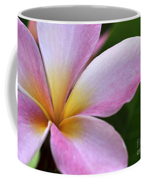 Macro Coffee Mug featuring the photograph Pop of Pink Plumeria by Sabrina L Ryan