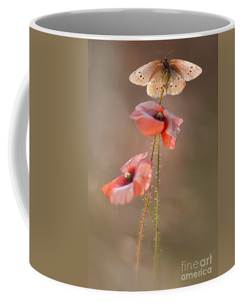 Flower Coffee Mug featuring the photograph Poppies #1 by Jaroslaw Blaminsky