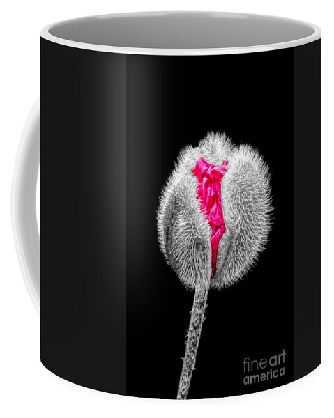 Poppy Coffee Mug featuring the photograph Poppy Emerging by Lynn Bolt