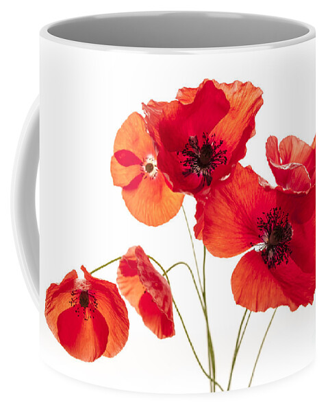 Poppy Coffee Mug featuring the photograph Poppies on white by Elena Elisseeva