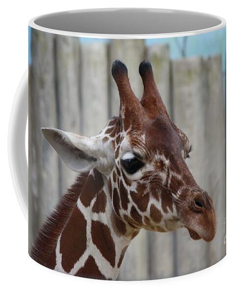 Zoo Coffee Mug featuring the photograph Portrait of a Giraffe by Veronica Batterson