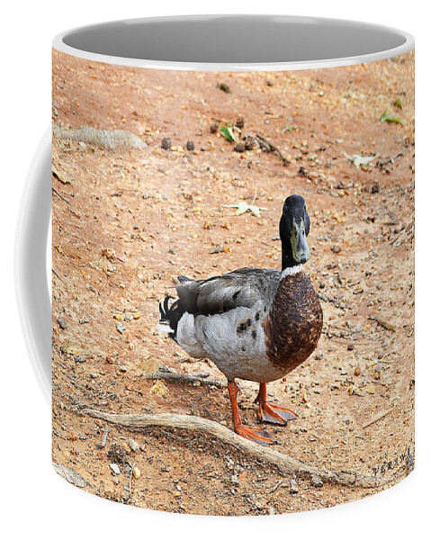 Duck Coffee Mug featuring the photograph Portrait of an Alabama Duck 2 by Verana Stark
