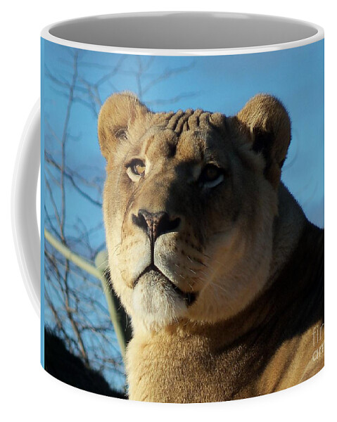 Wild Coffee Mug featuring the photograph Portrait of The Mighty Queen by Lingfai Leung