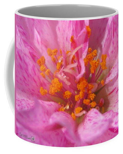 Mccombie Coffee Mug featuring the photograph Portulaca named Sundial Peppermint by J McCombie