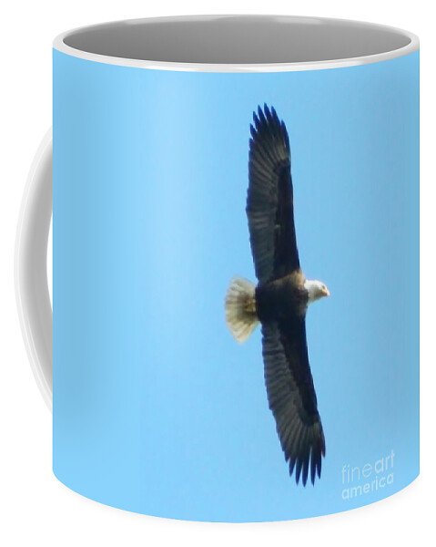 Eagle Coffee Mug featuring the photograph Powerful Elegance by Gallery Of Hope 