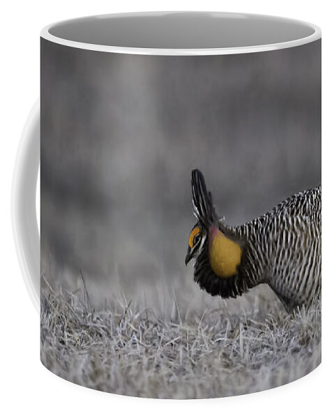 Wisconsins Prairie Chicken Coffee Mug featuring the photograph Prairie Chicken 2013-6 by Thomas Young