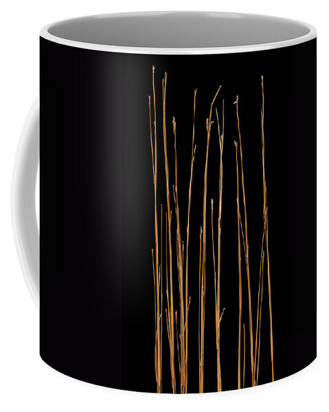 Grass Coffee Mug featuring the photograph Prairie Grass Number 3 by Steve Gadomski