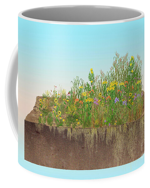 Prairie Coffee Mug featuring the photograph Prairie Plants Succession, Illustration by Carlyn Iverson