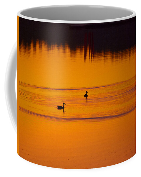 Ducks Coffee Mug featuring the photograph Pre Dawn Light by Ron Roberts
