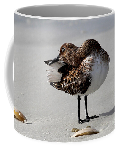 Sanderling Coffee Mug featuring the photograph Preening Sanderling by Meg Rousher