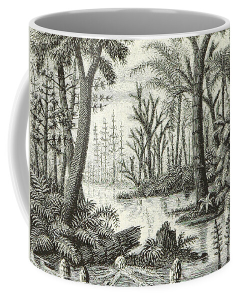 Historic Coffee Mug featuring the photograph Prehistoric Flora, Carboniferous by British Library