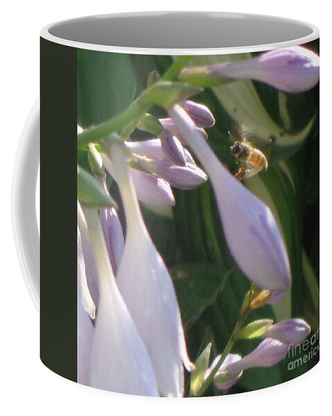 Flower Coffee Mug featuring the photograph Preparing to Land by Christina Verdgeline