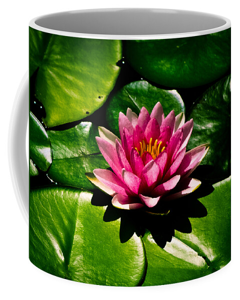 Aquatic Coffee Mug featuring the photograph Pretty in Pink by Christi Kraft