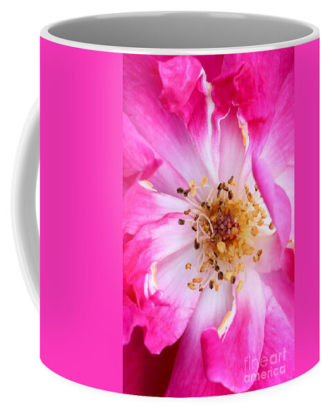 Macro Coffee Mug featuring the photograph Pretty in Pink Rose Close Up by Sabrina L Ryan