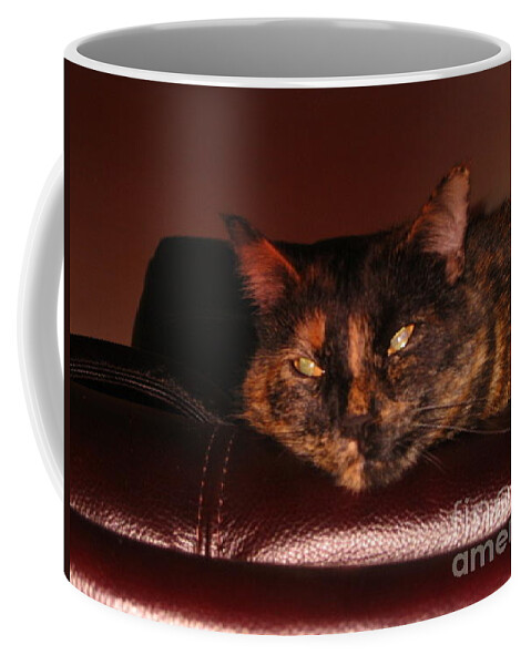 Pretty Kitty. Photograph. Coffee Mug featuring the photograph Pretty Kitty by Oksana Semenchenko