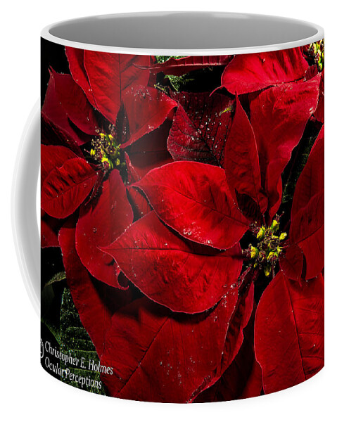 Christopher Holmes Photography Coffee Mug featuring the photograph Pretty Poinsettias by Christopher Holmes