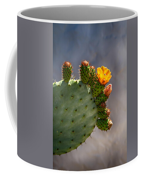 Cactus Coffee Mug featuring the photograph Prickly Pear Cactus Flower by John Haldane