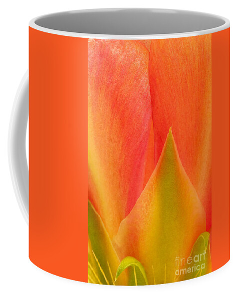 Texas Prickly Pear Coffee Mug featuring the photograph Prickly Pear Flower Petals Opuntia Lindheimeni in Texas by Dave Welling