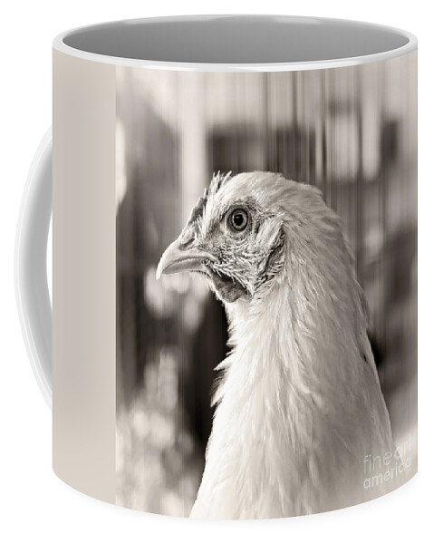 Chicken Coffee Mug featuring the photograph Prize Winning Hen by Edward Fielding