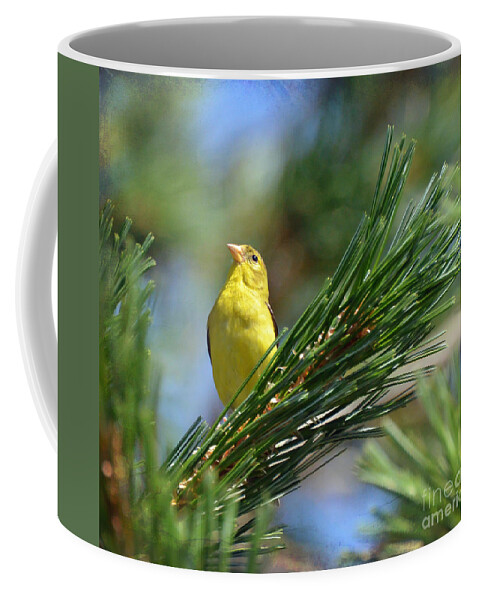 American Goldfinch Coffee Mug featuring the photograph Profile In the Pines by Kerri Farley