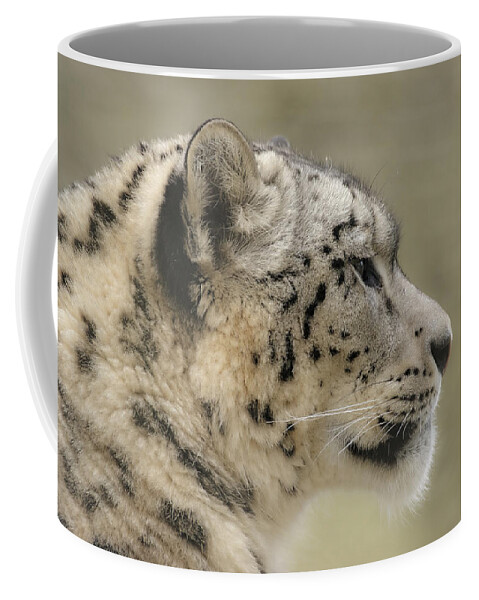 Snow Leopard Coffee Mug featuring the photograph Profile of a snow leopard by Chris Boulton