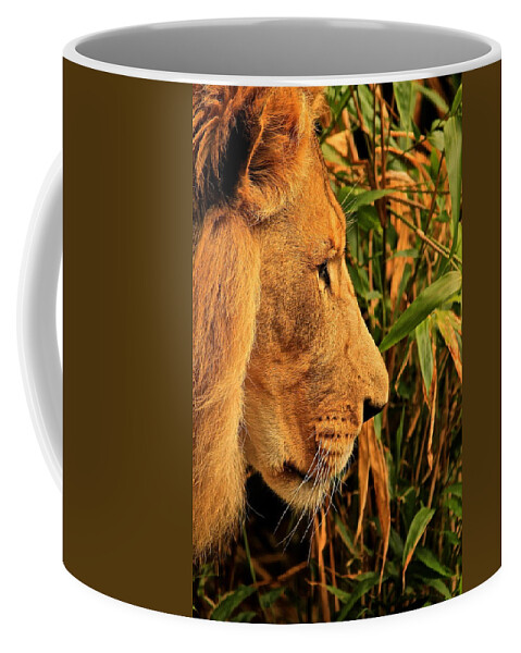 King Coffee Mug featuring the photograph Profiles of a King by Laddie Halupa