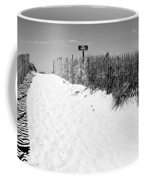 Massachusetts Coffee Mug featuring the photograph Provincetown Dunes on Cape Cod by Caroline Stella