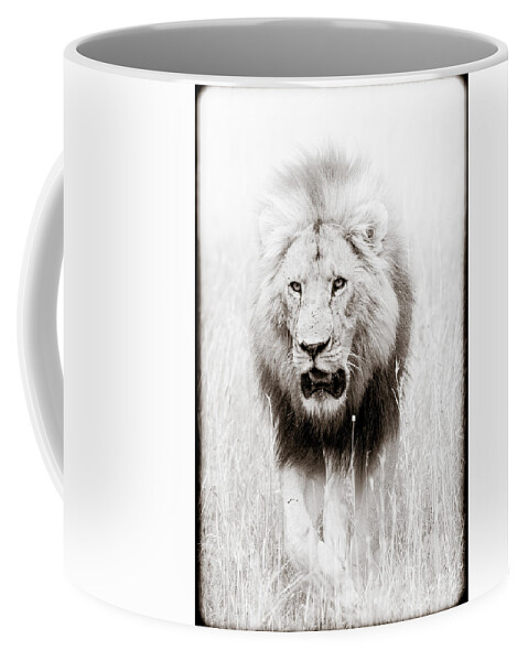 Africa Coffee Mug featuring the photograph Prowling For Prey by Mike Gaudaur