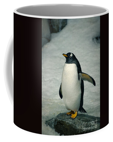 Gentoo Coffee Mug featuring the photograph Psst ... He Went That Way by Bianca Nadeau