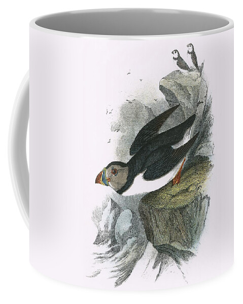 Puffin Coffee Mug featuring the painting Puffin by English School