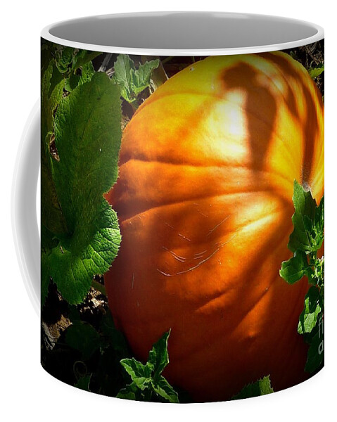 Fall Season Coffee Mug featuring the photograph Pumpkin Shade by Susan Garren