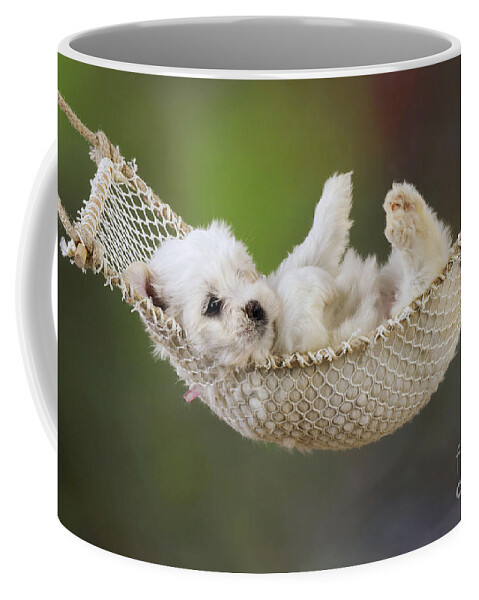 Dog Coffee Mug featuring the photograph Puppy Dog In A Hammock by John Daniels