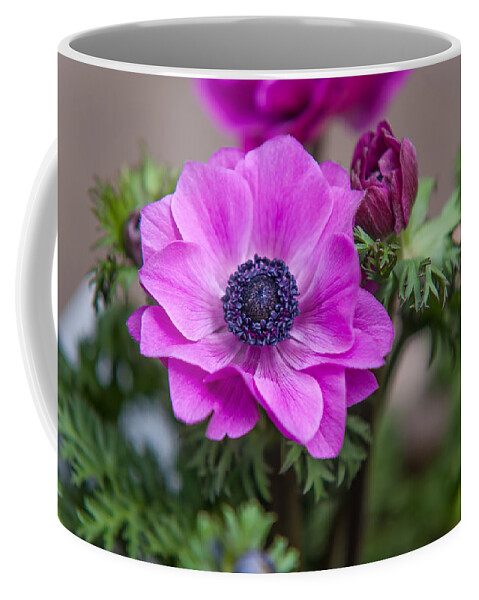 Flower Coffee Mug featuring the photograph Purple Anemone. Flowers of Holland by Jenny Rainbow