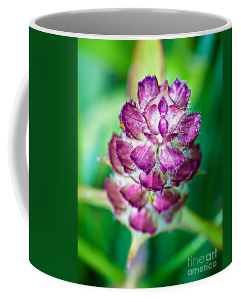 Wildflowers Coffee Mug featuring the photograph Purple Beauty by Gwen Gibson