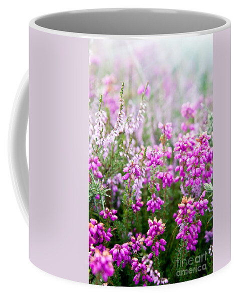  Flower Coffee Mug featuring the photograph Purple bell erica heather plants by Simon Bratt