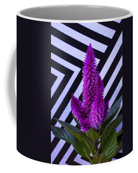 Purple Celosia Coffee Mug featuring the photograph Purple Celosia by Garry Gay