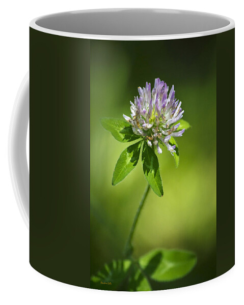 Clover Coffee Mug featuring the photograph Purple Clover Flower by Christina Rollo