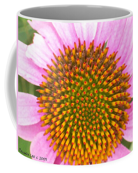 Purple Conehead In Full Bloom. The Center Is Yellow And Red Spikes. Coffee Mug featuring the photograph Purple Conehead Closeup by Belinda Lee