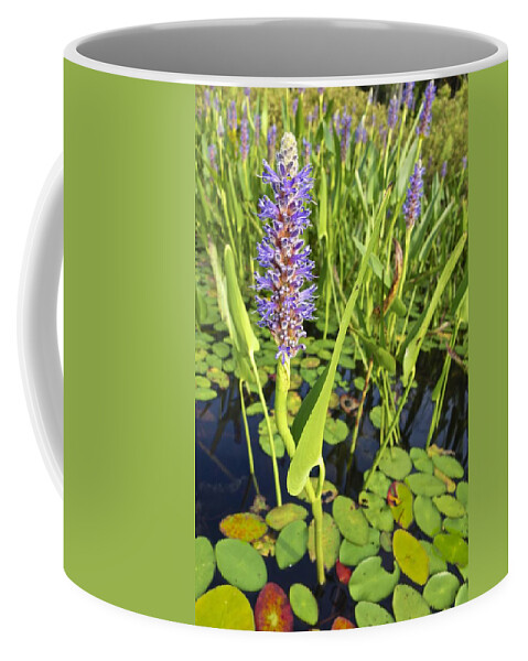 Flower Purple Coffee Mug featuring the photograph Purple Flower by Joan Reese
