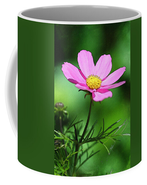 Purple Coffee Mug featuring the photograph Purple Flower by Pati Photography
