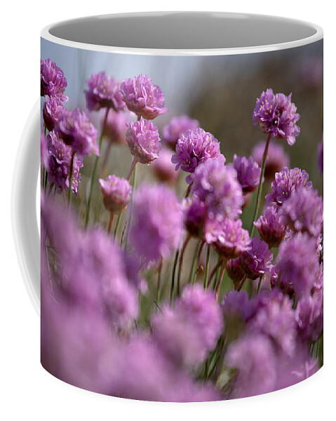 Purple Coffee Mug featuring the photograph Purple haze by Nigel R Bell
