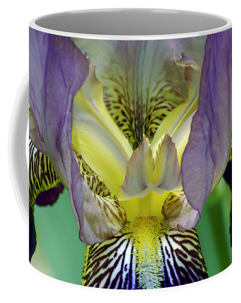 2d Coffee Mug featuring the photograph Purple Iris by Brian Wallace