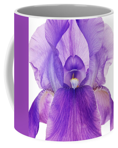 Iris Coffee Mug featuring the photograph Purple Iris by Jim Hughes
