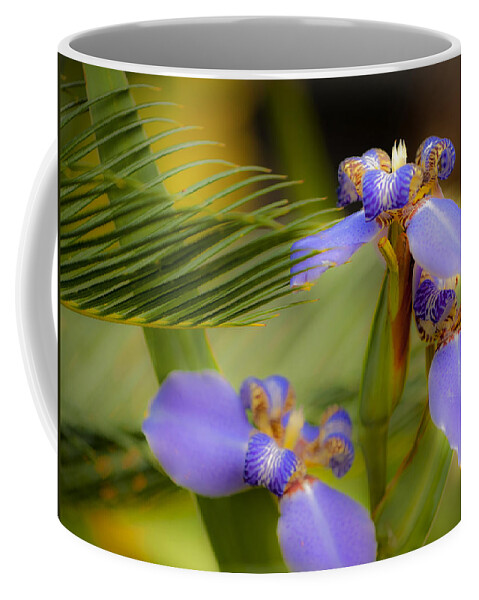 Flower Coffee Mug featuring the photograph Purple Iris No. 1 by Stephen Anderson